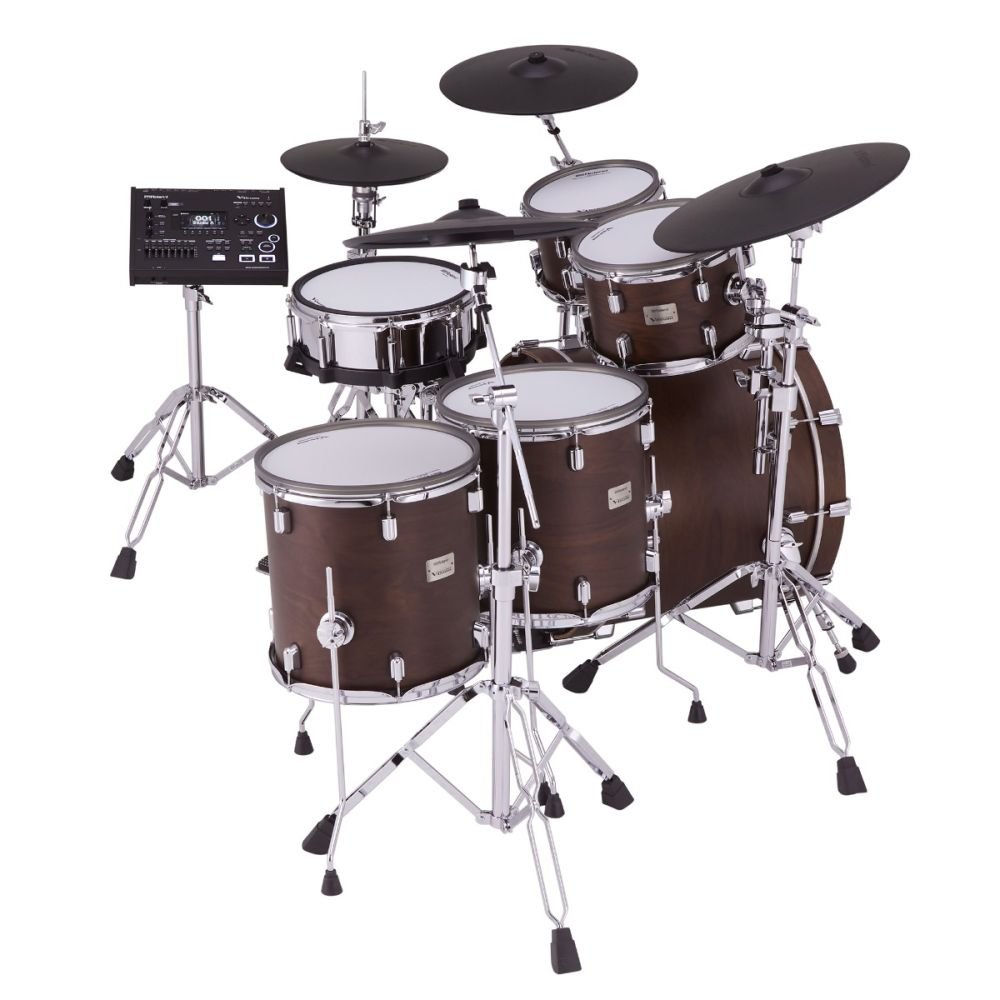 Drums & Percussion